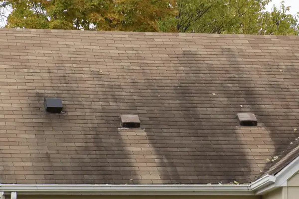Expert residential roofing services