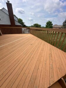 Deck and Fence Staining Services