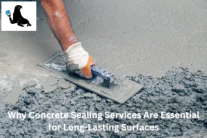 Why Concrete Sealing Services Are Essential for Long-Lasting Surfaces