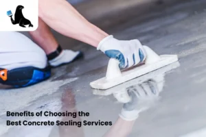 Best Concrete Sealing Services near me