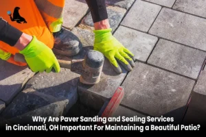 Hire Paver Sanding and Sealing Services in Cincinnati OH
